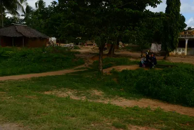 DSC_8060 (Large).JPG